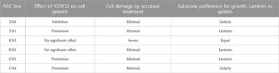 Wnt signal-dependent antero-posterior specification of early-stage CNS primordia modeled in EpiSC-derived neural stem cells